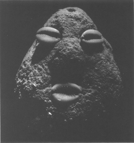 concrete face with cowrie shell eyes