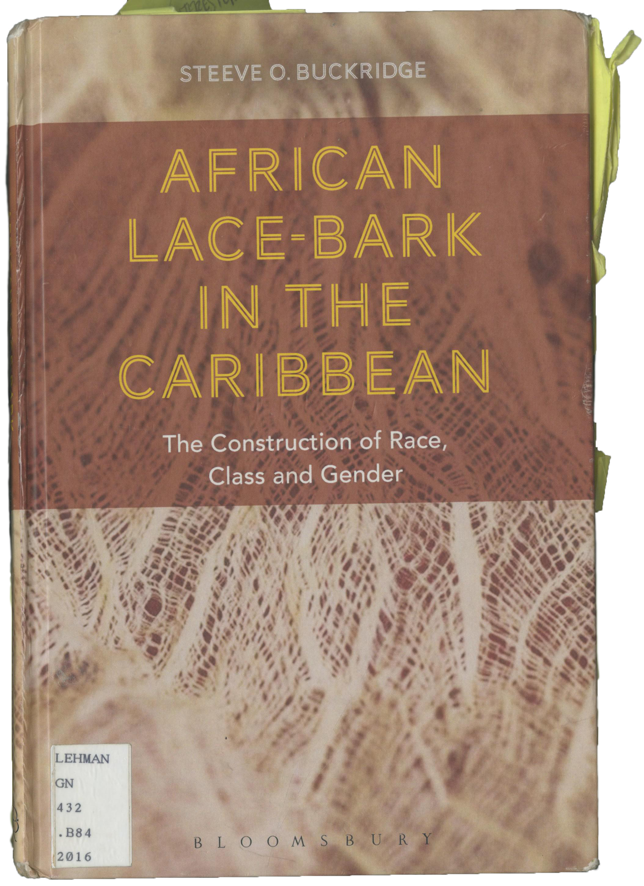 Book cover for New York African Burial Ground vol. 2 - The Archaeology Part I