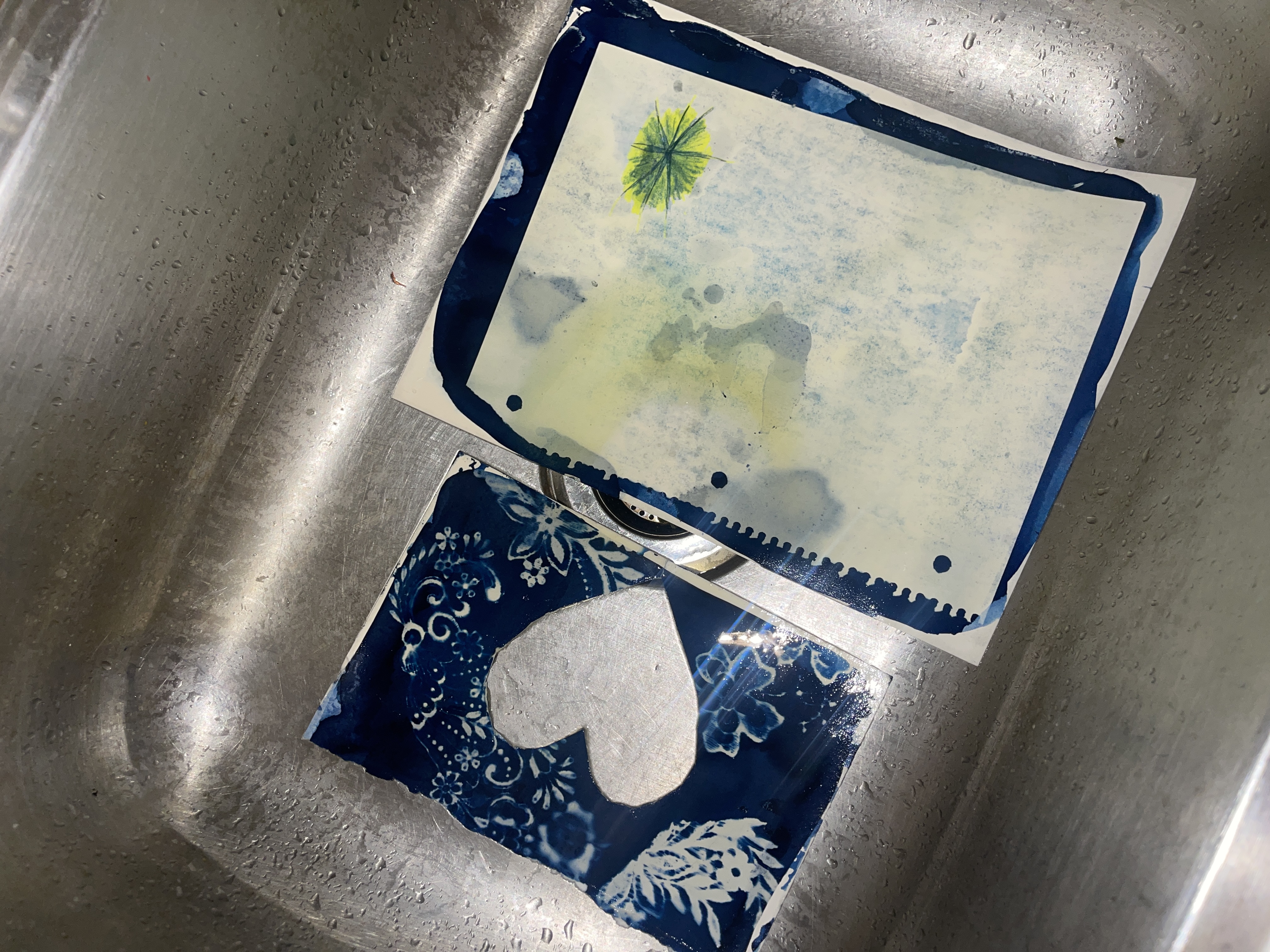 image of a rinsed cyanotype in a sink